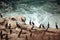 OCean birds resting on the rock - cormorands and pelicans against pacific ocean waves