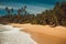 Ocean Coast with pandanus and coconut palm trees. Tropical vacation, jungle on background. Wild deserted untouched beach. Paradise