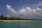 Ocean coastline palm and tree in dominicana