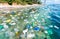 Ocean and coasts infested with plastic waste and microplastics