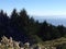 Ocean, Dipsea Trail, Stinson Beach, San Francisco, CA