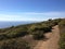 Ocean, Dipsea Trail, Stinson Beach, San Francisco, CA