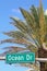 Ocean Drive sign and palm tree