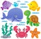 Ocean fauna thematic collection 1