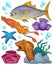 Ocean fauna topic set 2