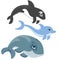 Ocean Fish Family Dolphin, Whale and Killer Whale