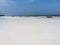 Ocean floor at low tide. Zanzibar, Tanzania, Pwani Mchangani beach.