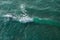 Ocean foamy waves approaching rocky shore. Top view