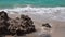 Ocean foamy waves wash the coral rocks at sandy shore