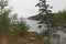 Ocean inlet in Acadia National Park in Maine