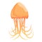 Ocean jellyfish icon, cartoon style