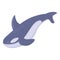 Ocean killer whale icon, cartoon style