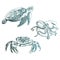 Ocean Life and Marine Creatures with Loggerhead Turtle and Octopus Vector Set