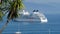 Ocean liner cruise ship palms background aerial view transatlantic Portofino gulf or Tigullio Gulf Italian Riviera Italy