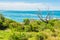 Ocean and native vegetation from Norah Head coast
