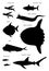 Ocean pelagic fish. Vector black silhouette image.