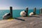 Ocean pier with a wooden walk in front and hanging buoys in tropical paradise on a sunny day. Dry Tortugas, Florida.