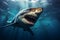 Ocean predator Shark swimming with dangerous jaws in deep water