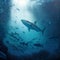 The Ocean\\\'s Apex Predators: A Group of Sharks underwater, generative ai