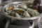 Ocean\\\'s Bounty: Steamed Mussels Perfection in a Pot