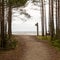 Ocean\\\'s Threshold: Following a Forest Trail to the Seashore\\\'s Magnificent Horizon