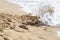 Ocean\'s waves destroy kid\'s sand castle