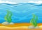 Ocean scene with seaweed underwater