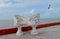 Ocean sea panorama mexico white chairs and gulls