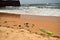 Ocean-Sea Waves, Garbage Mountains Rock Stones and Sky Blue Landscape Background