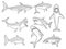 Ocean shark. Big sea fish silhouettes flowing creature with big tooth aquatic animal vector shark tattoo design