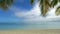 Ocean skyline, beach and palm branches