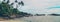 Ocean Sri Lanka. Nature and palm trees. Selective focus