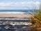 Ocean-view beyond marram grass on beach