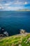 Ocean View from the Dingle Peninsula