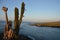 An ocean view from the Frigatebird Hill at San Cristobal Island, Galapagos -