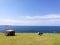 Ocean View @ Kiama Lighthouse