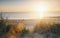 Ocean view at sunset over the sand dunes on the Baltic sea