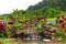 Ocean View Terrace in the Valley of the Temples Memorial Park, Oahu, Hawaii