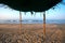 Ocean view from under the tent. Arambol, India.