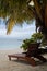 Ocean View from a Wooden Sun Lounger