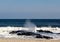 Ocean Wave Breaking Over Jetty