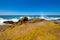 Ocean wave breaking on rocky coast in Cadiz