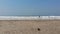 Ocean Waves Crash onto a Sandy Beach in Goa, India Asia