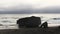 Ocean Waves On Northern California Beach With Distant View Of Drone