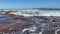 Ocean waves roll into the rocks