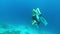 Ocean, woman on scuba diving adventure in coral reef and under water nature, biodiversity or tropical holiday in Raja