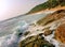 Oceanic Coast with big waves and palm trees