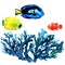 Oceanic coral reef and fishes, tropical seaweed, corals, under sea theme, set of elements for marine design, sea