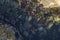 Oceanic pools with seaweed and rocks and marine life. Seen from above.