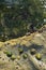 Oceanic pools with seaweed and rocks and marine life. Seen from above.Oceanic pools with seaweed and rocks and marine life.